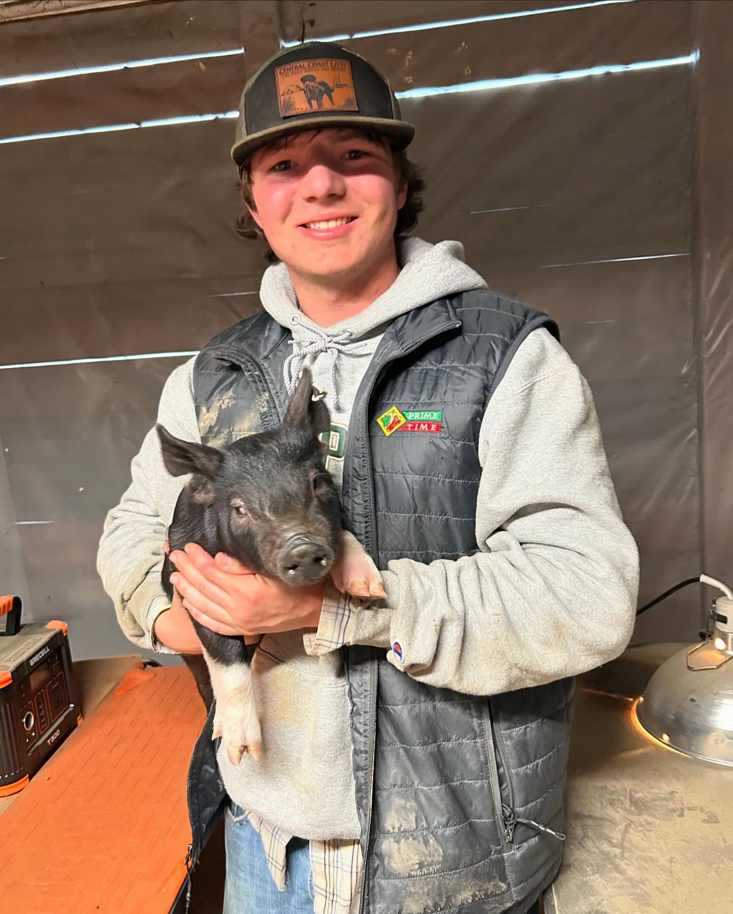 Board oversight in meeting